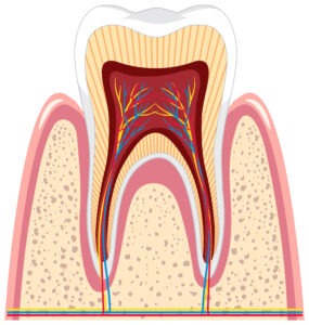 Read more about the article Painless root canal with lasers at  best dental clinic India