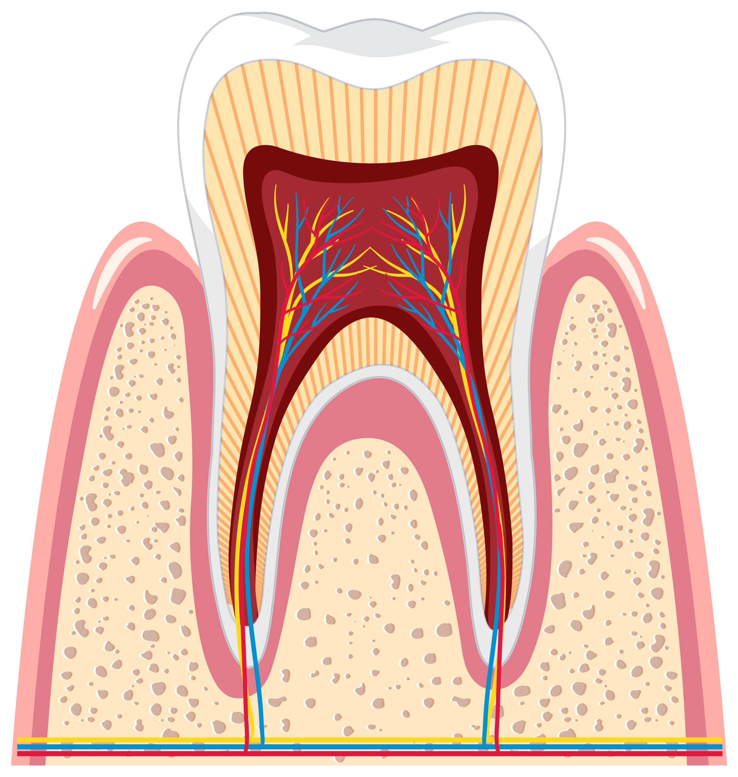 You are currently viewing Painless root canal with lasers at  best dental clinic India